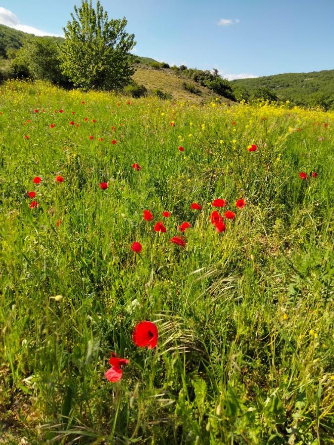 La Grange De Sabatas Hotel Chomérac Kültér fotó