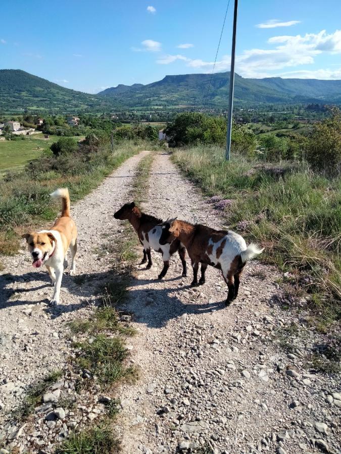 La Grange De Sabatas Hotel Chomérac Kültér fotó