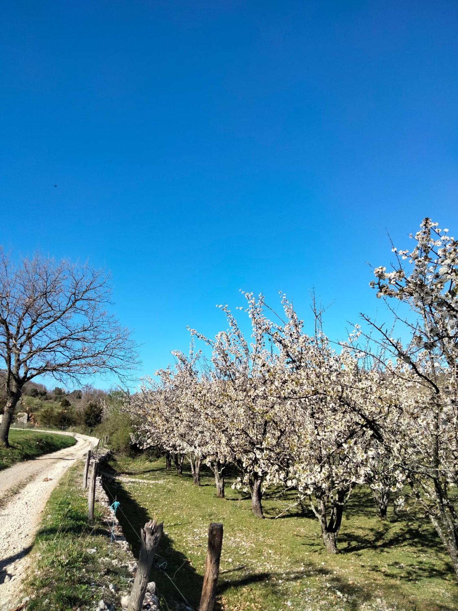 La Grange De Sabatas Hotel Chomérac Kültér fotó